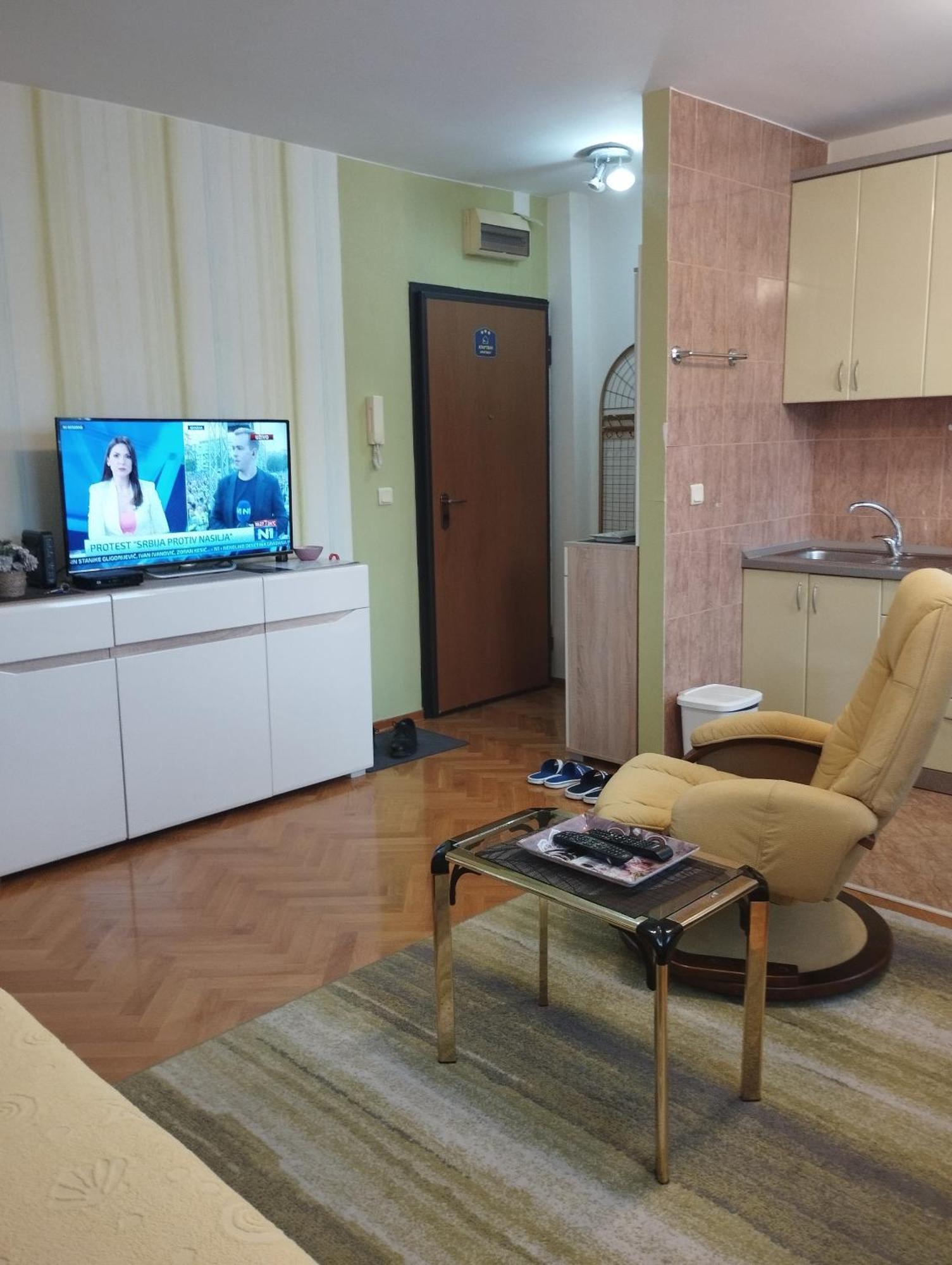 Vlado Apartment Vs 贝尔格莱德 客房 照片